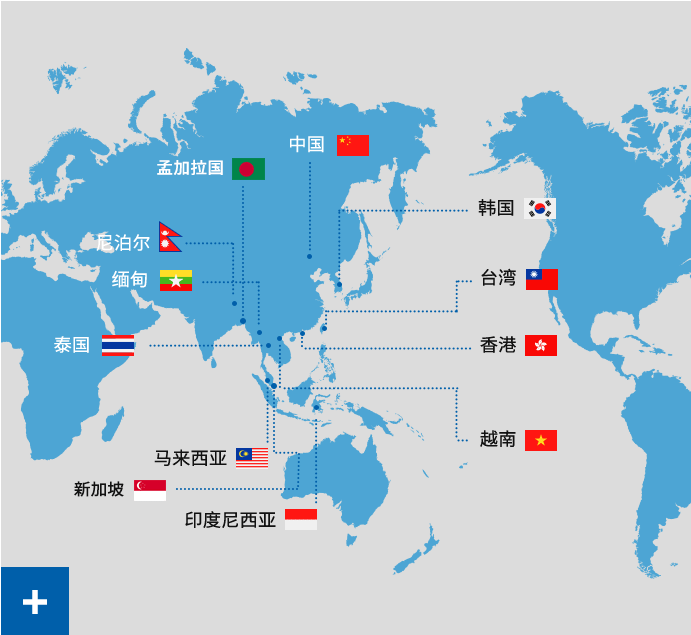 国际化的学生